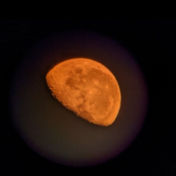 Meet your Posher, Steven - Picture 1 of 1